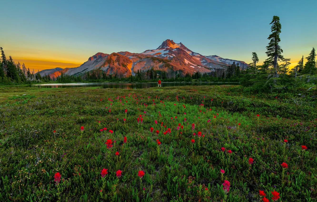 Photo wallpaper field, forest, light, flowers, mountains, red, lake, blue