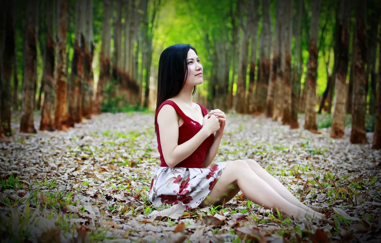 Photo wallpaper look, girl, Asian