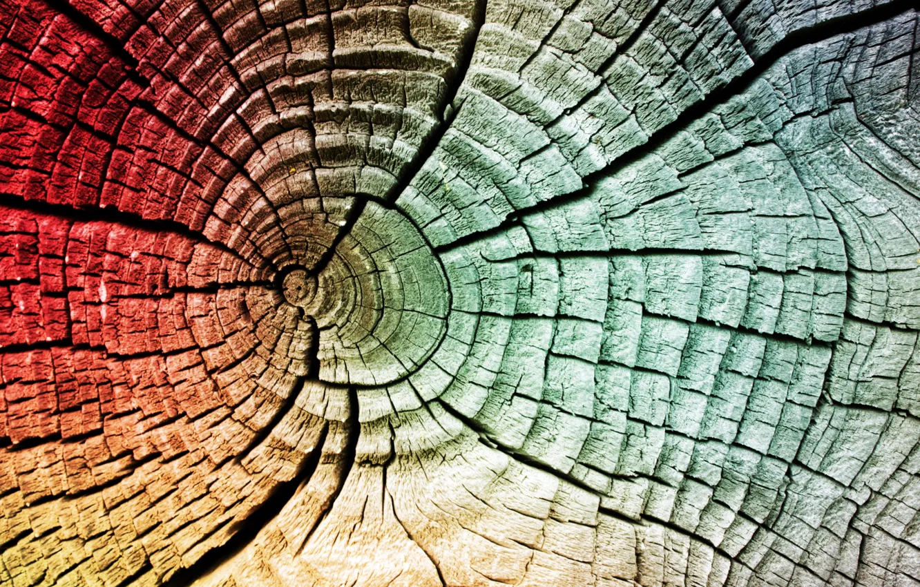 Photo wallpaper old, tree, color, crack, the end