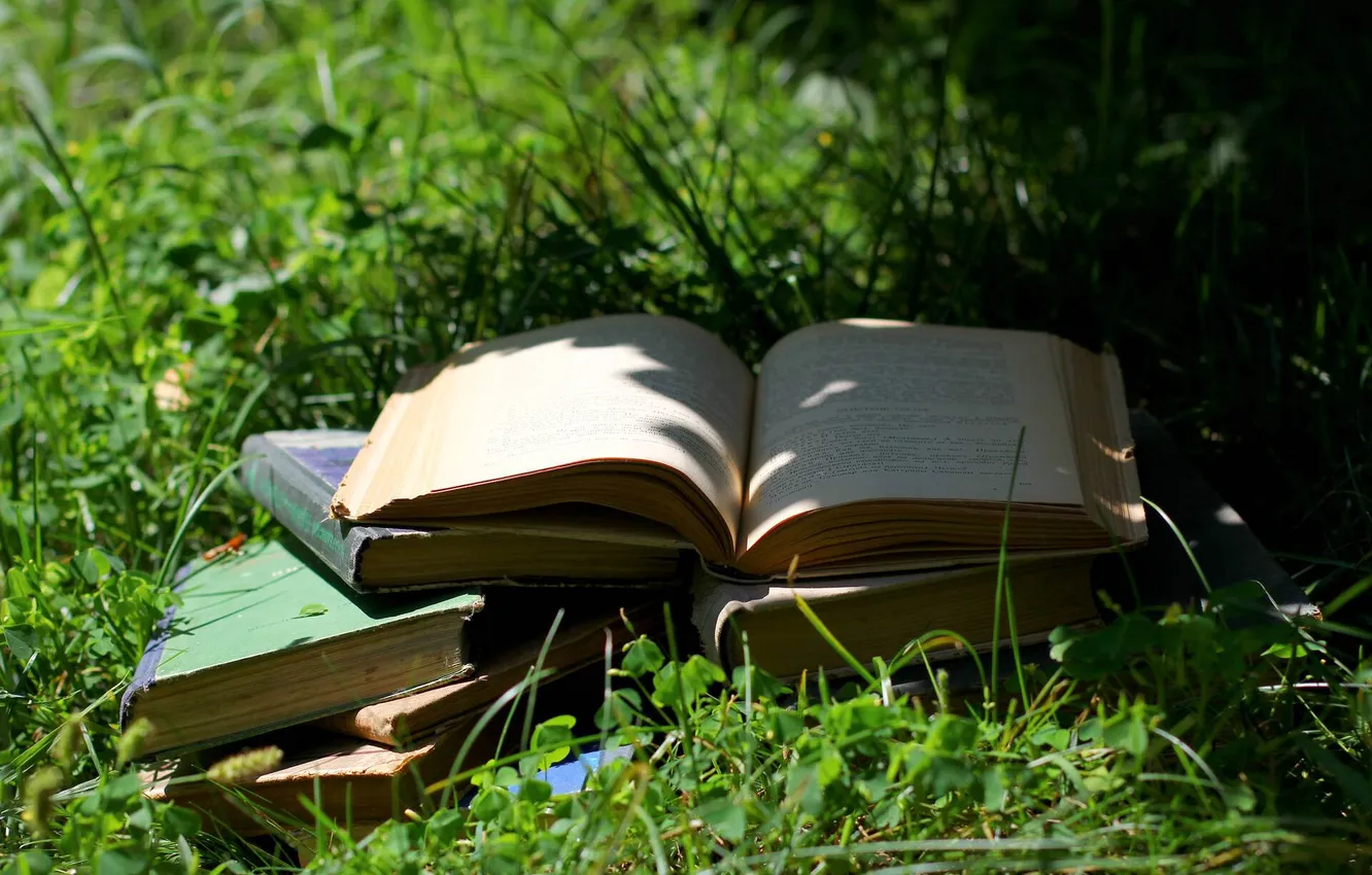 Photo wallpaper grass, nature, shadow, plants, book, different