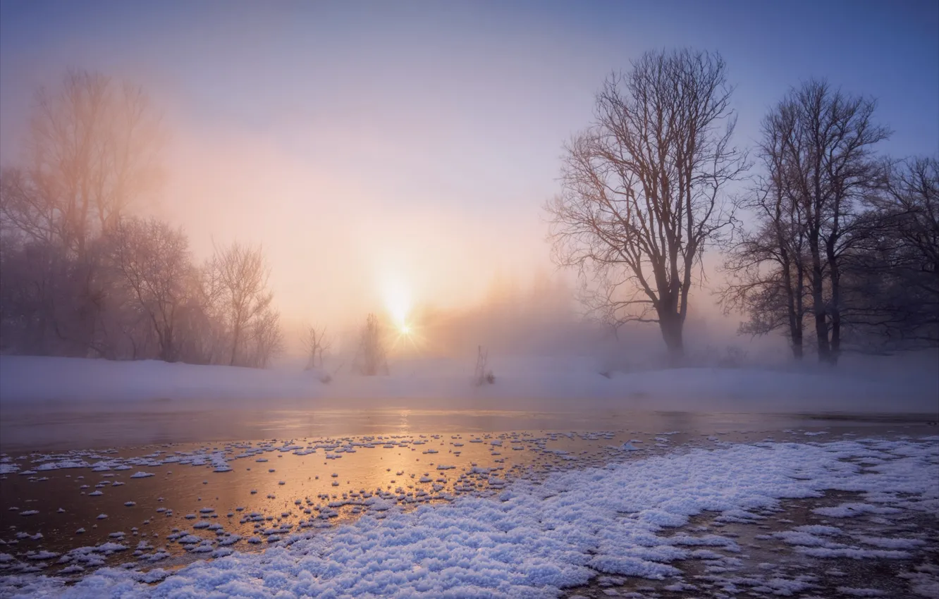Photo wallpaper winter, snow, trees, river, dawn, morning, frost, Russia