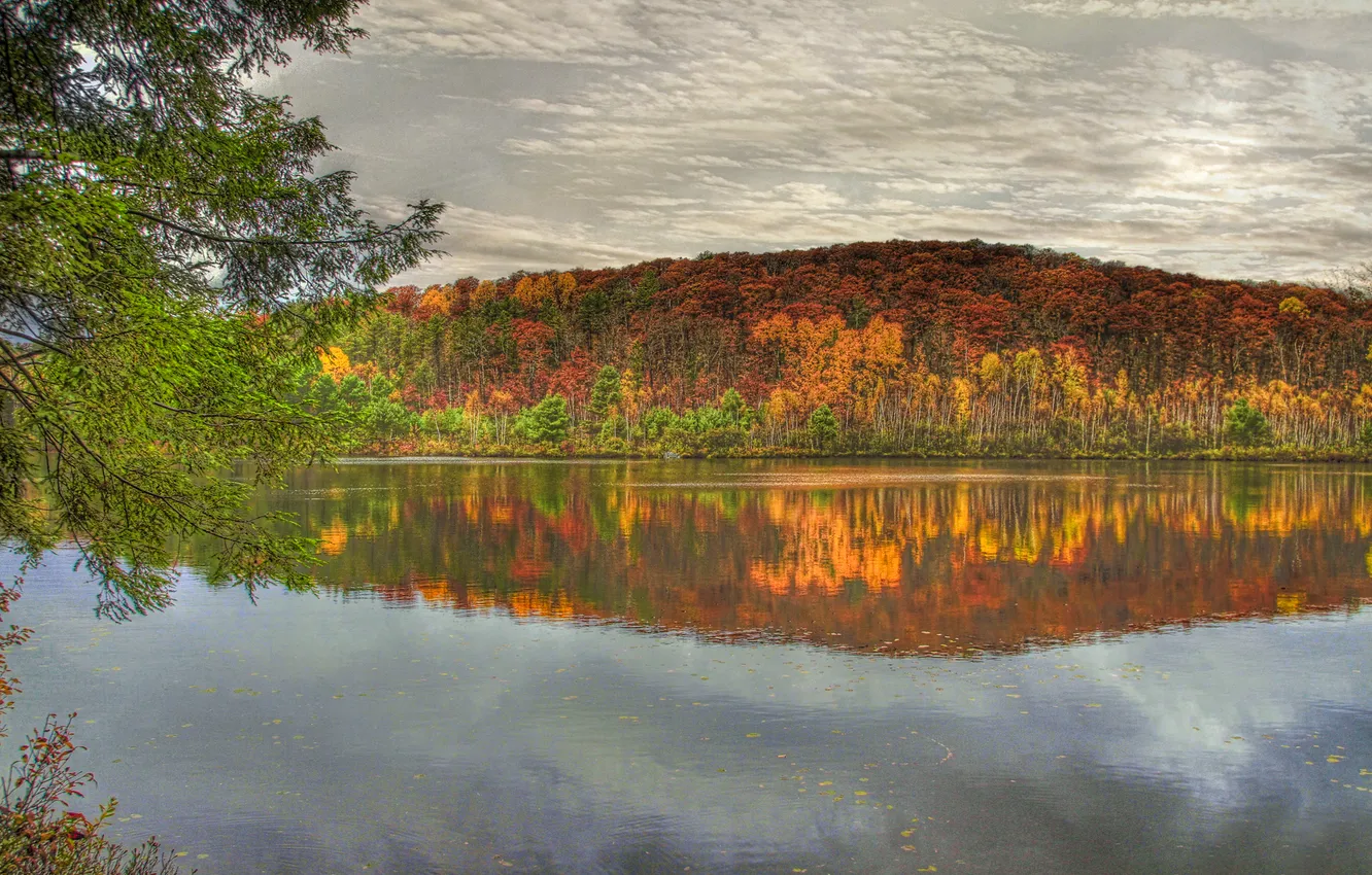 Photo wallpaper autumn, forest, the sky, water, HDR