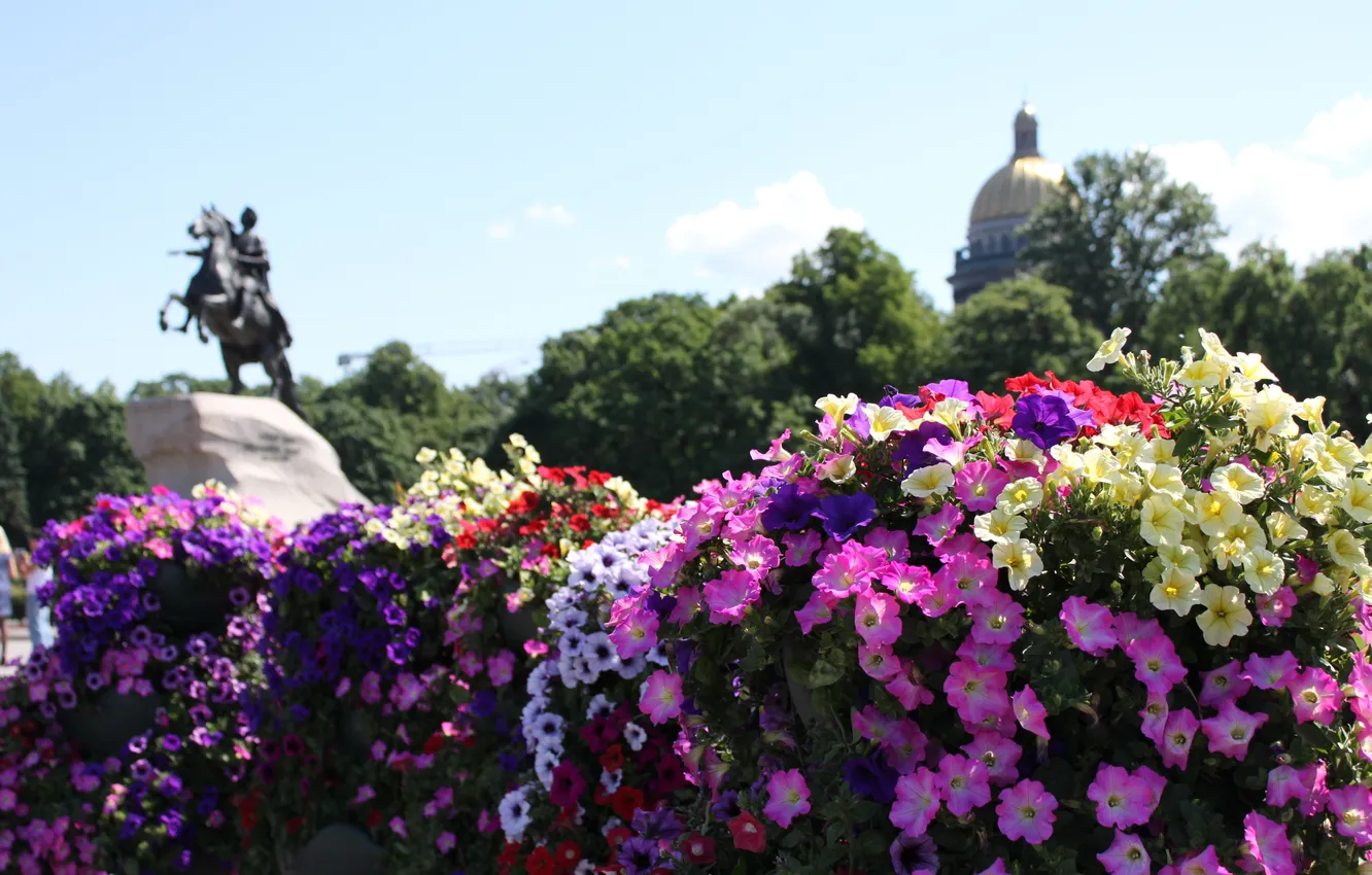 Photo wallpaper flowers, Peter, monument