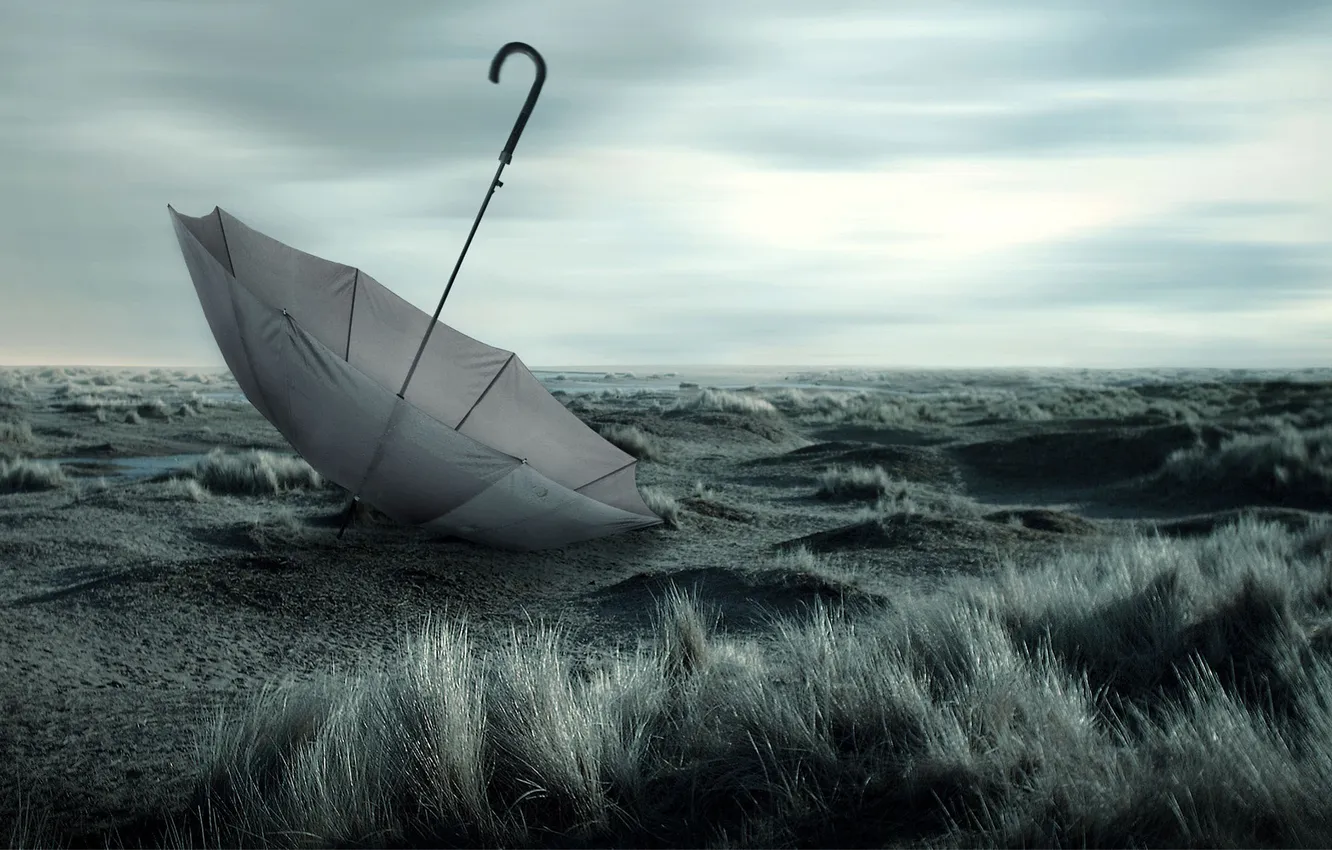 Photo wallpaper grass, earth, umbrella