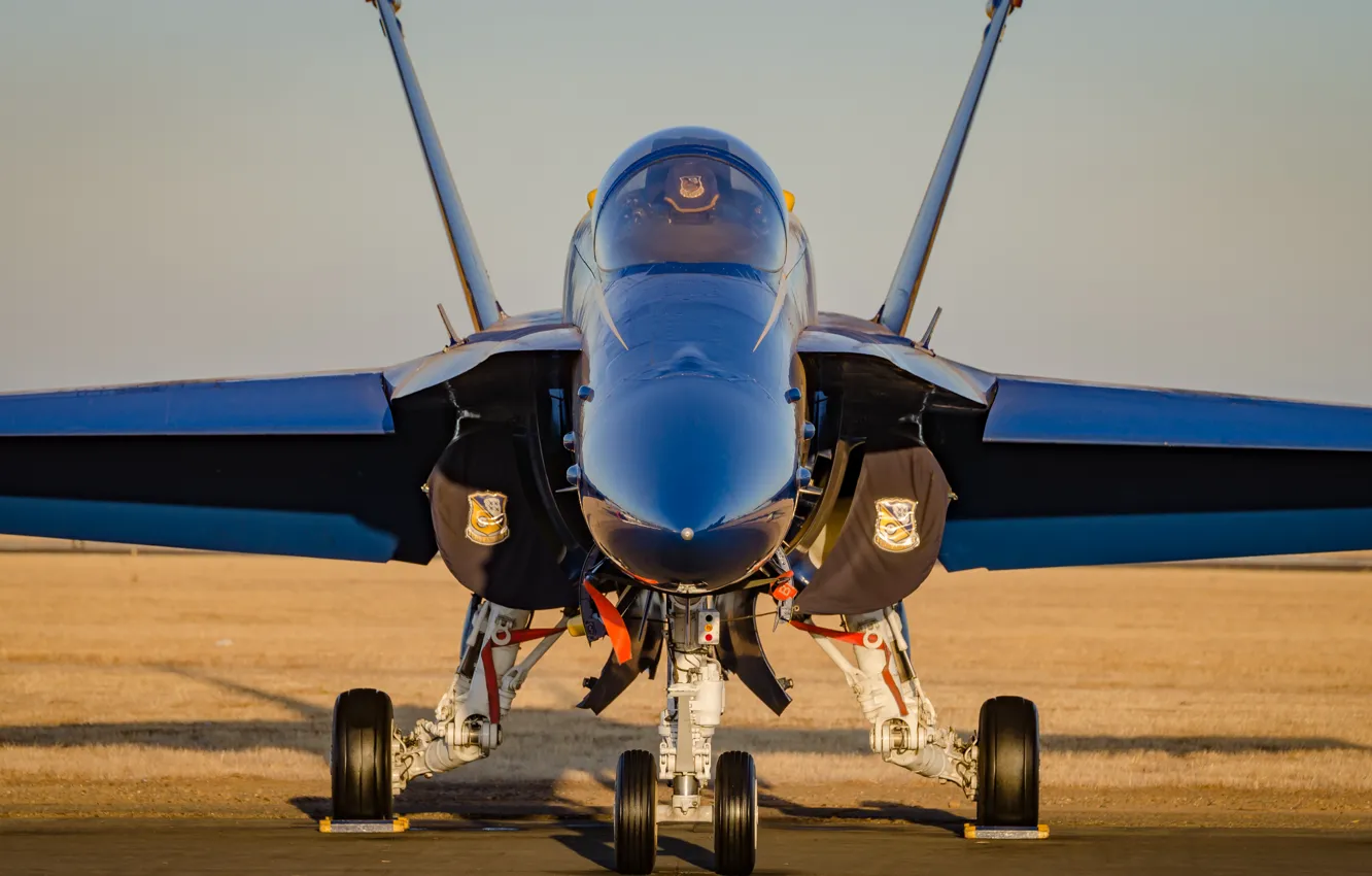 Photo wallpaper fighter, the airfield, F-18, Blue Angels