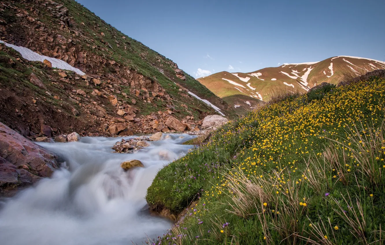 Photo wallpaper grass, flowers, mountains, river, stones, meadow