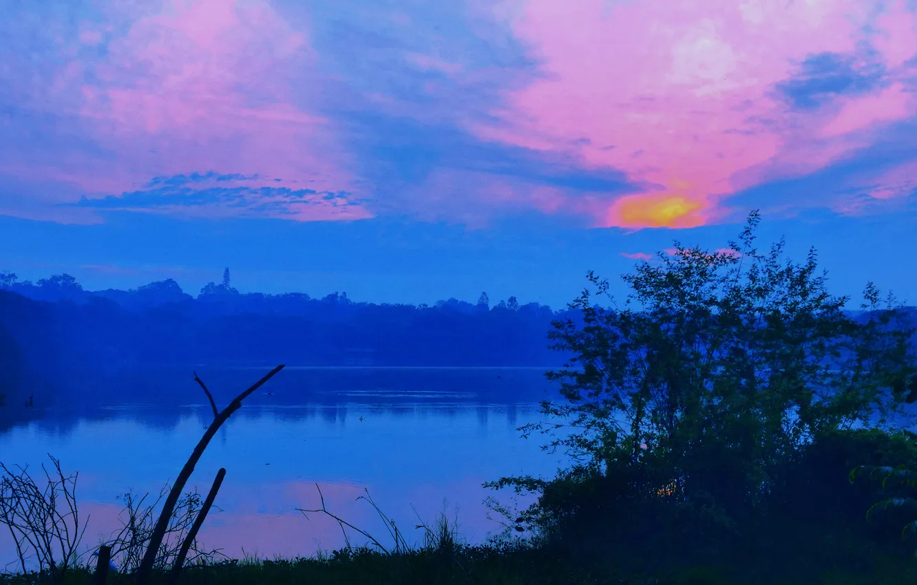Photo wallpaper Sky, Grass, Sun, Water, Sunrise, Dawn, Morning, Lake