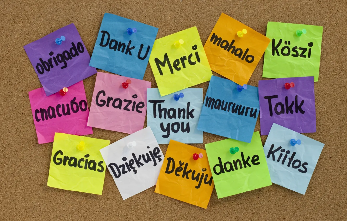 Photo wallpaper button, Board, colorful, stickers, many, languages, thank you, Thank you