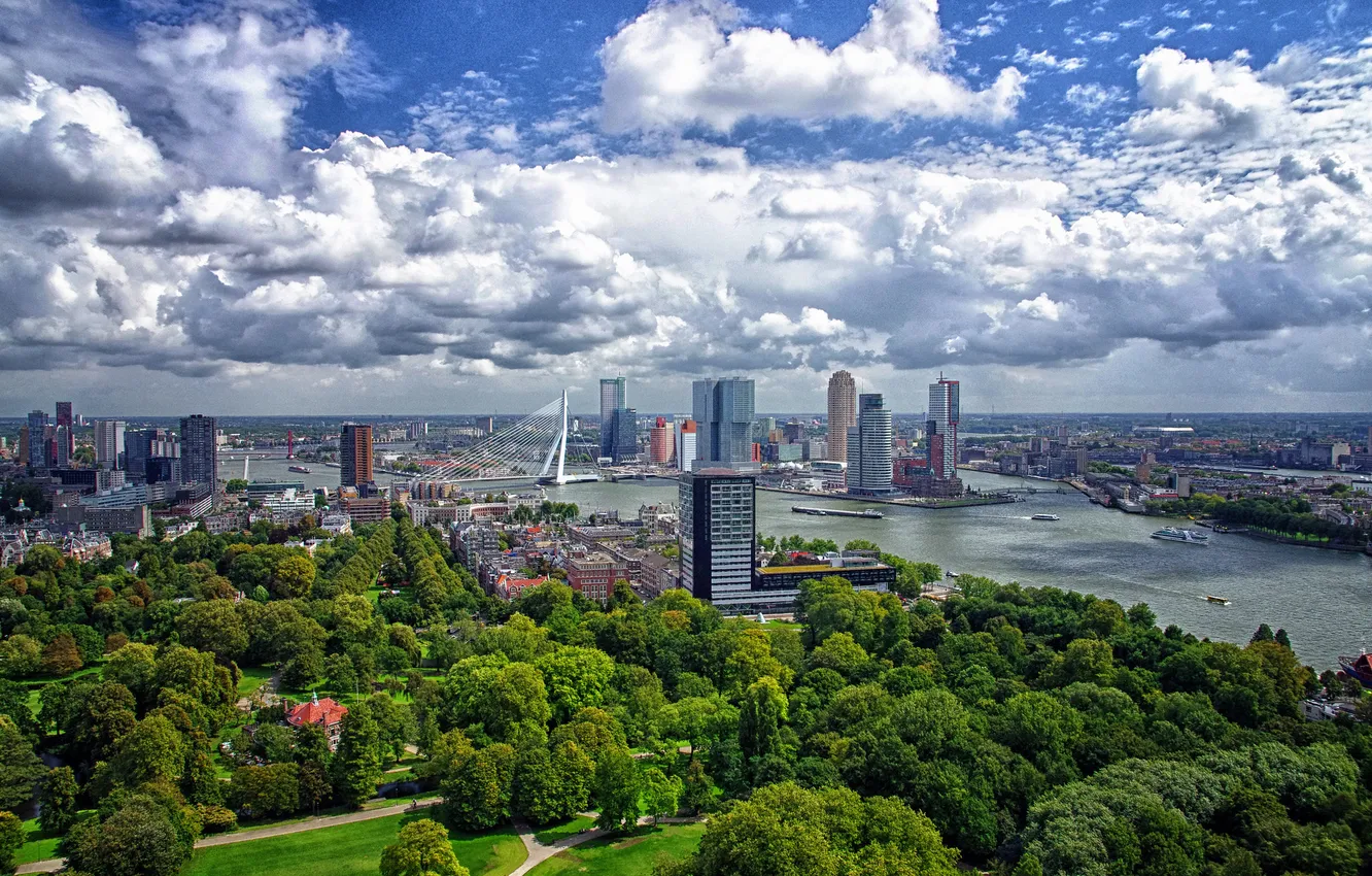 Photo wallpaper the sky, trees, landscape, bridge, home, panorama, Netherlands, Rotterdam