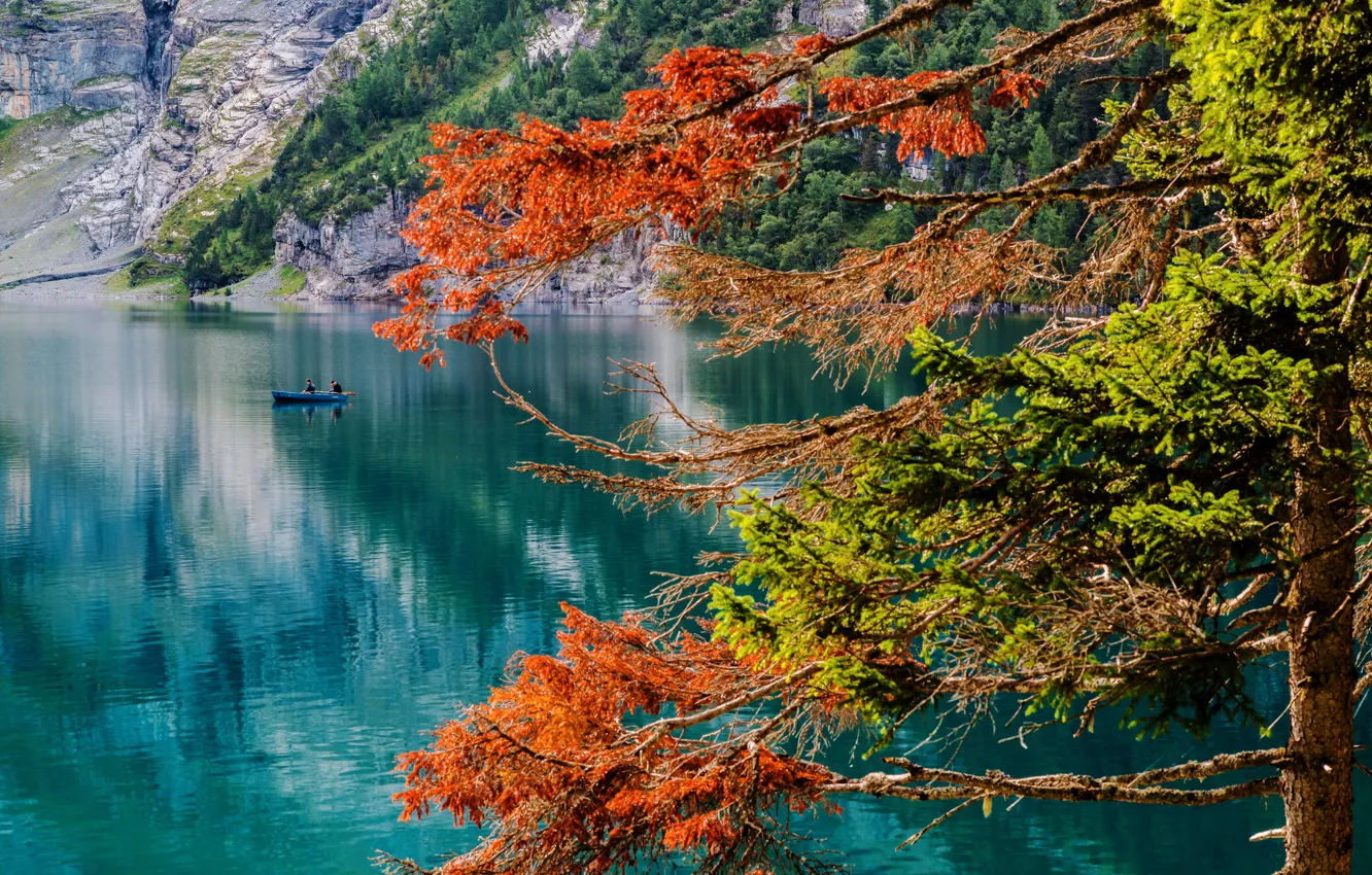 Photo wallpaper autumn, lake, tree, boat, Switzerland, fishermen, Switzerland, lake Asinense