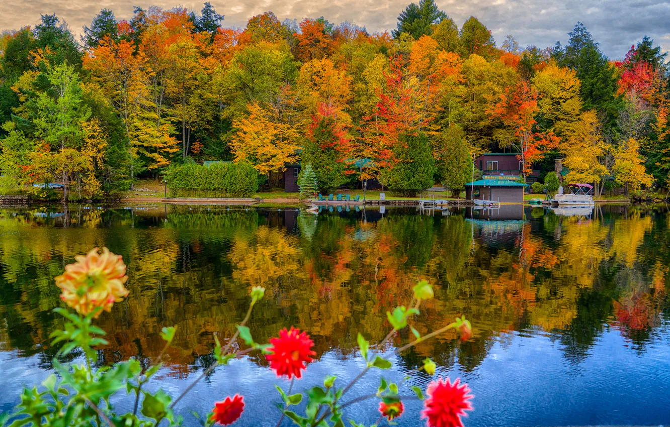 Photo wallpaper autumn, trees, flowers, lake, Park, house