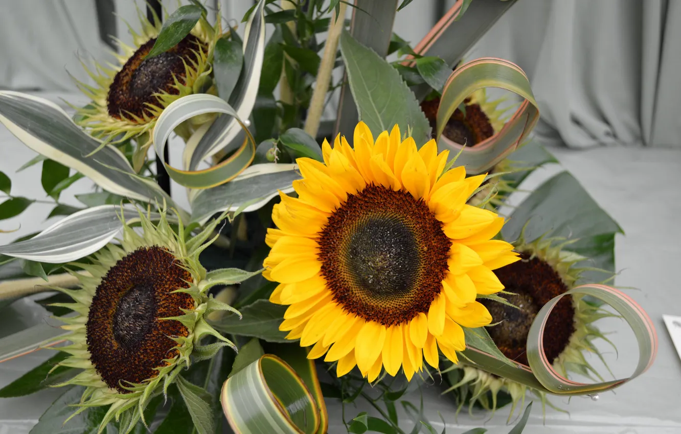 Photo wallpaper flowers, sunflower, bouquet, flowers, bouquet, sunflower