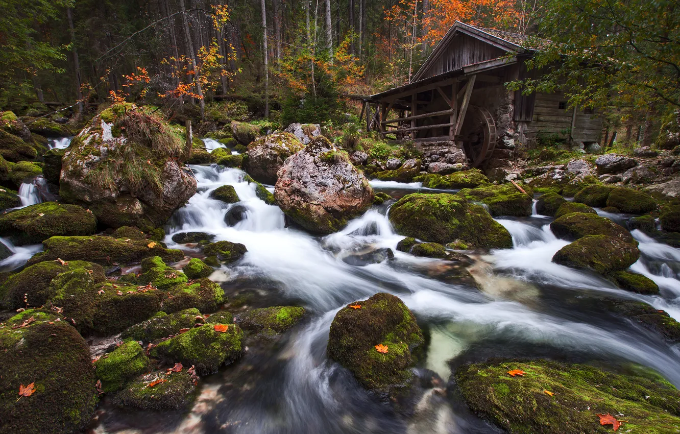 Photo wallpaper autumn, forest, river, stones, moss, Austria, mill, Austria