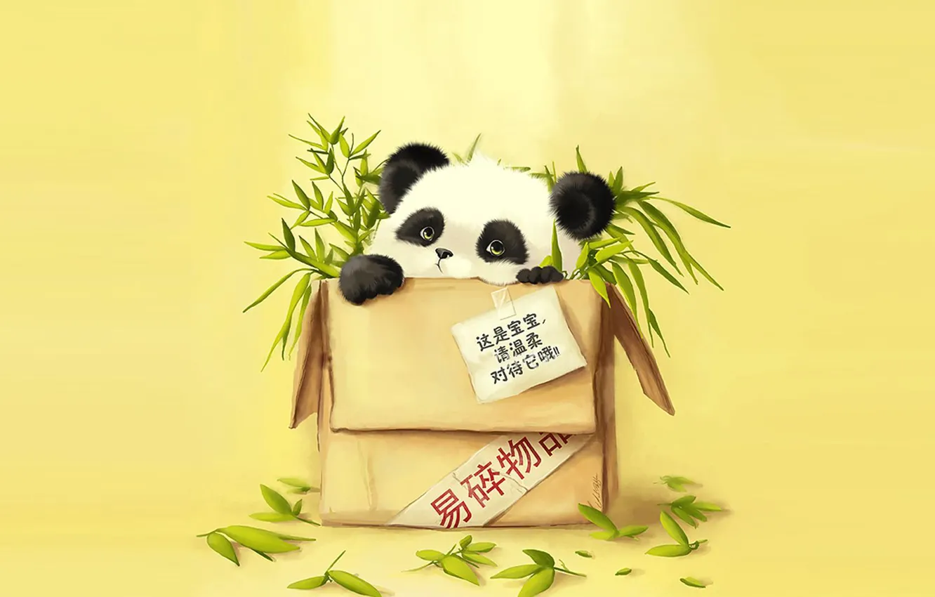 Photo wallpaper bamboo, Panda, package