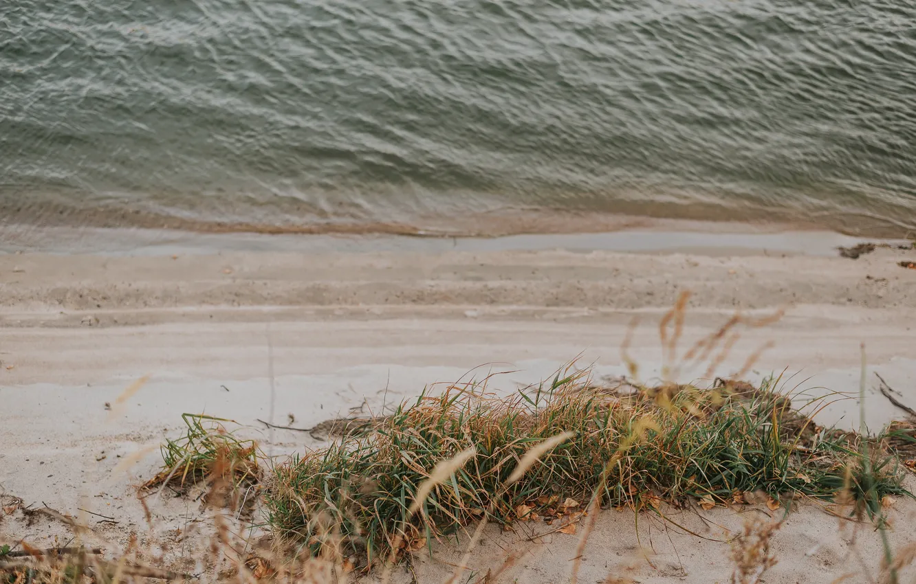 Photo wallpaper autumn, forest, the sky, nature, river