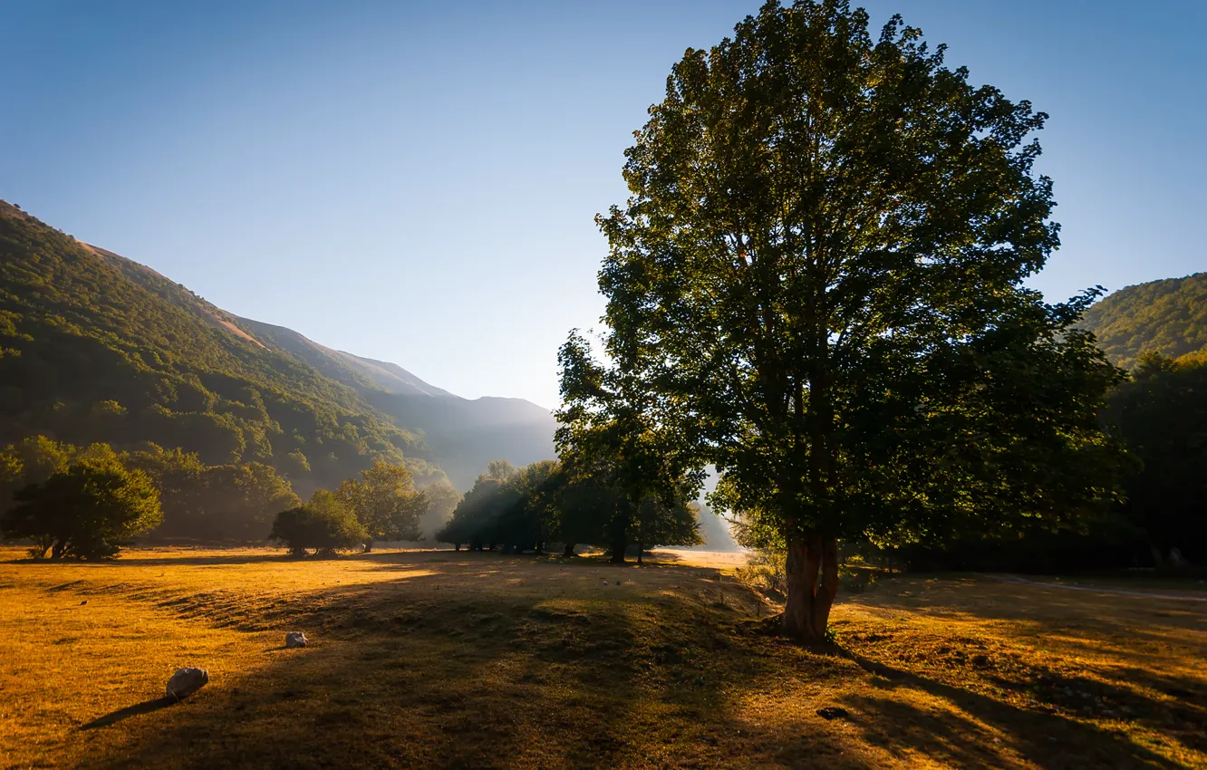 Photo wallpaper summer, the sky, light, trees, mountains, nature