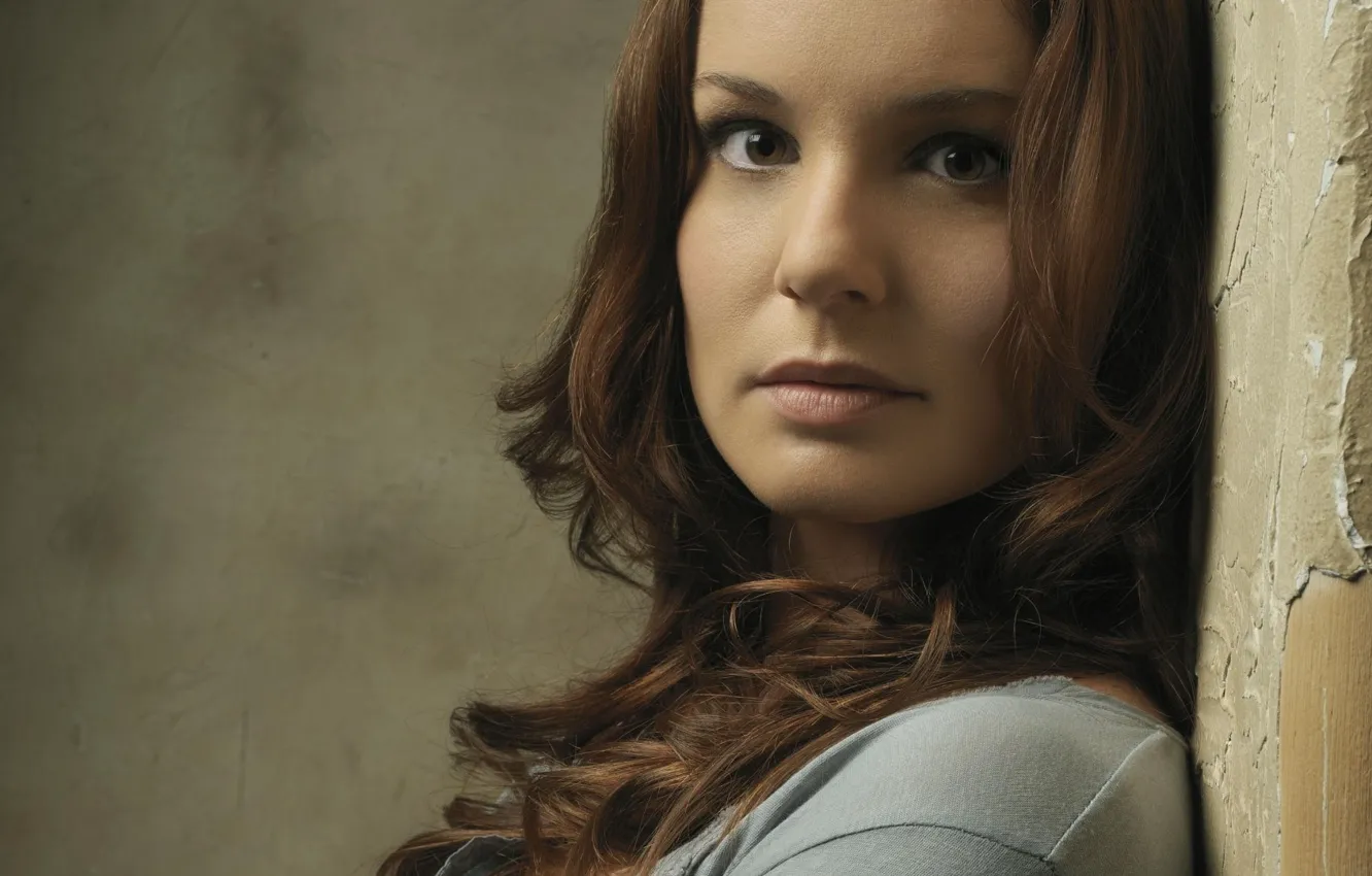 Photo wallpaper actress, the walking dead, the walking dead, Sarah Wayne Callis, Sarah Wayne Callies