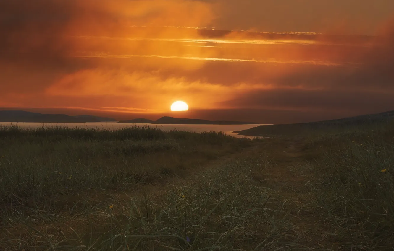 Photo wallpaper road, field, grass, the sun, sunset, pond