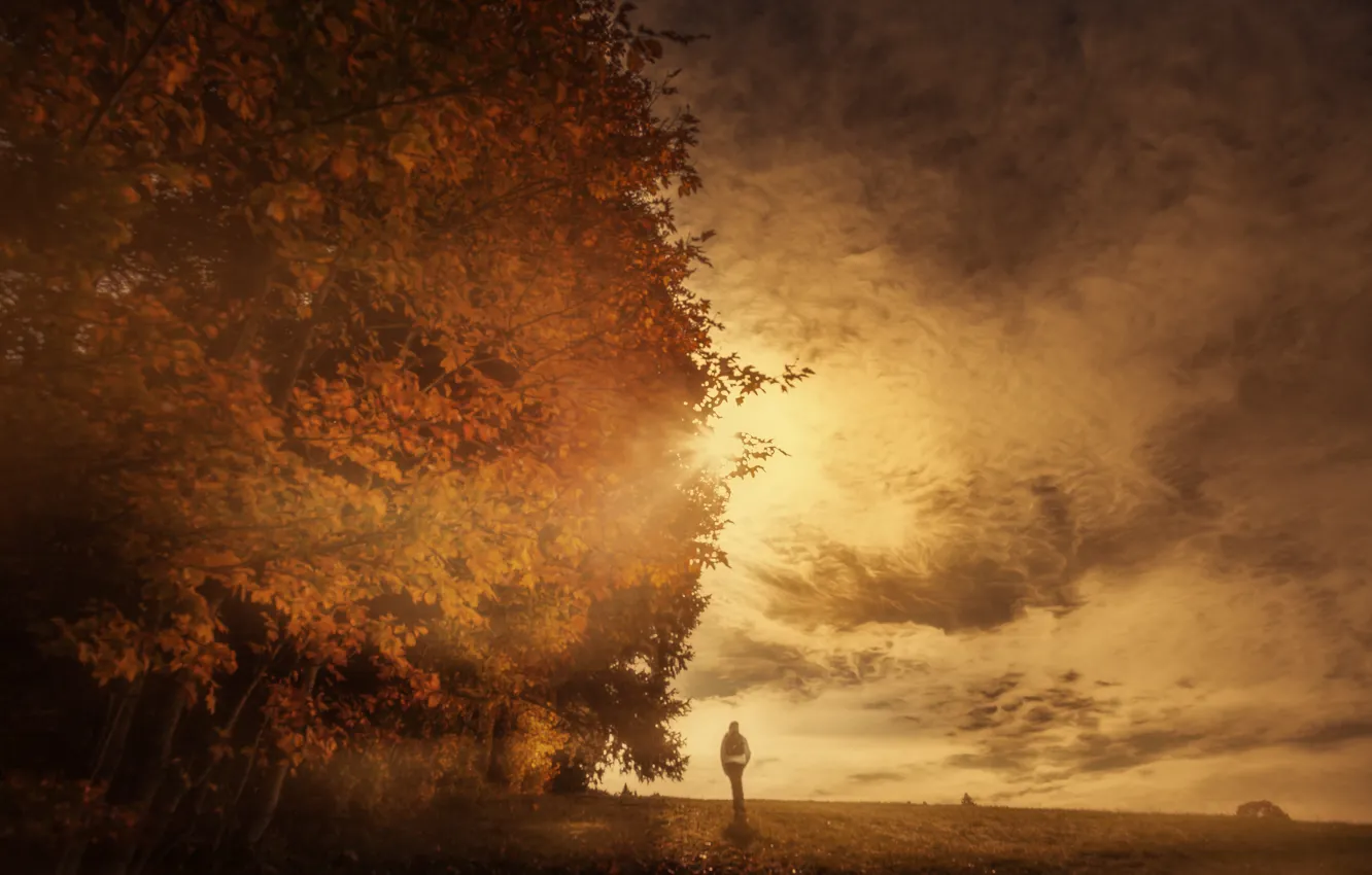 Photo wallpaper autumn, the sky, clouds, trees, treatment, Autumn Sun