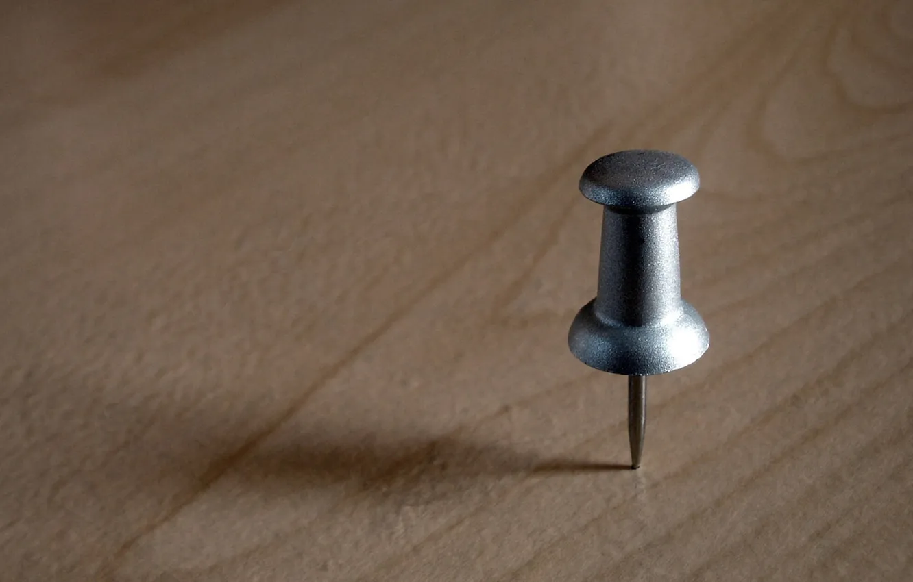 Photo wallpaper trees, table, button