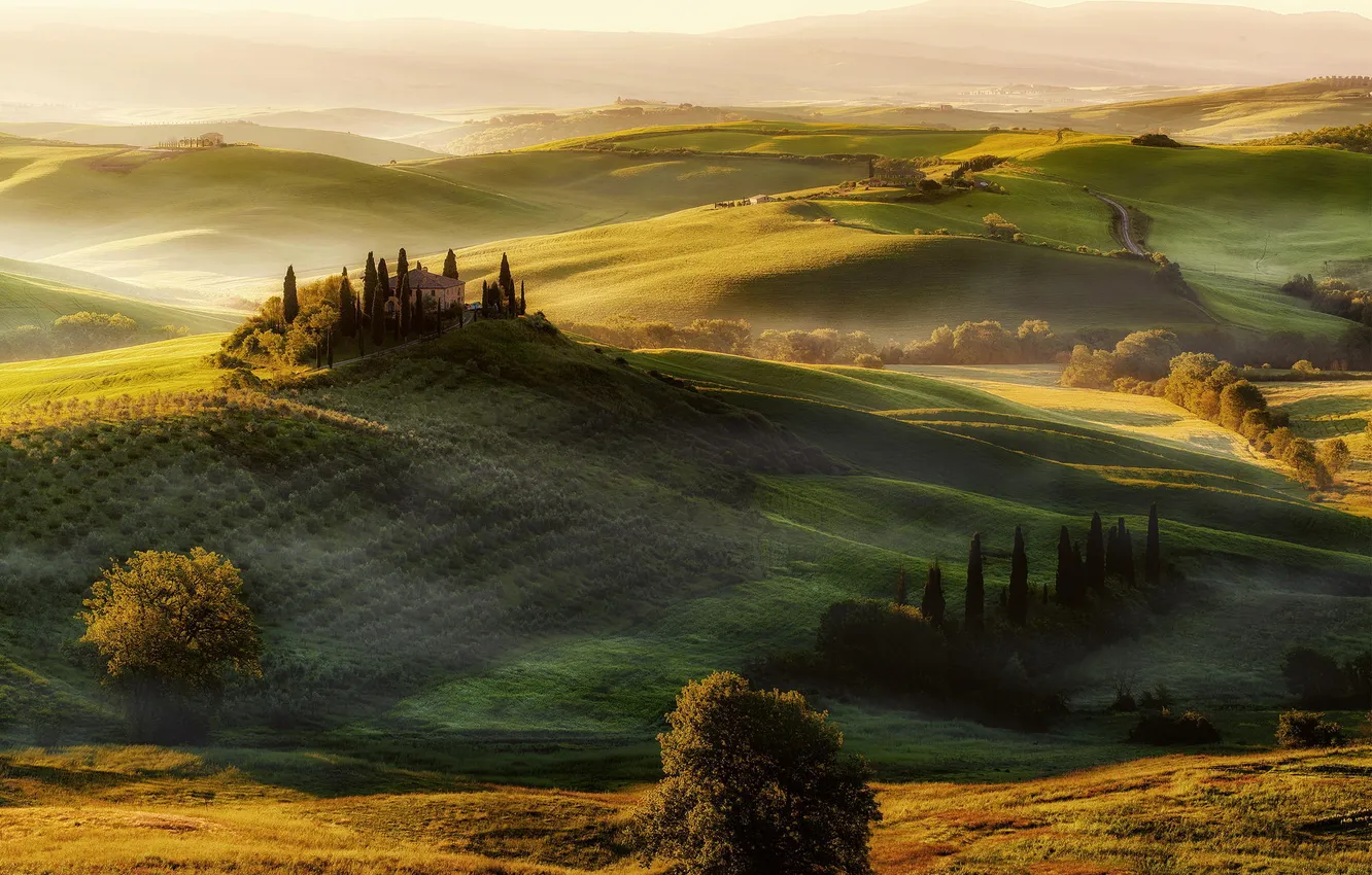 Photo wallpaper field, trees, nature, panorama