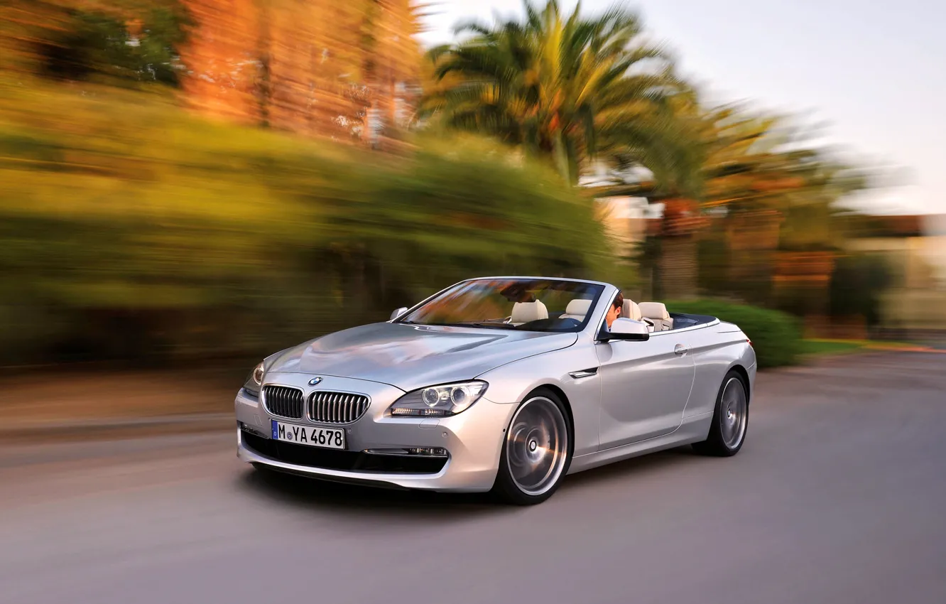 Photo wallpaper Auto, BMW, Convertible, Grey, BMW, Coupe, 6 Series, In Motion