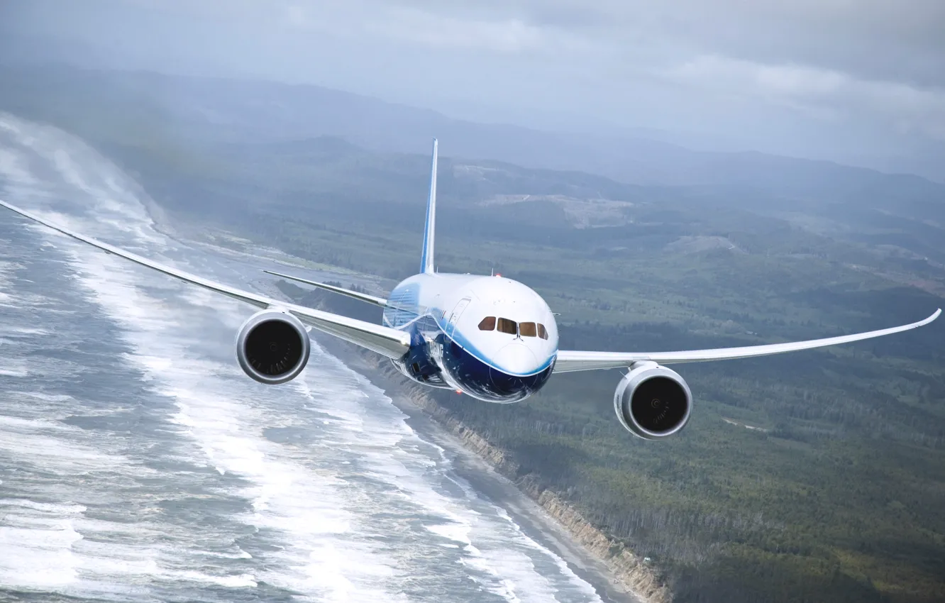 Photo wallpaper Sea, The plane, Earth, Boeing, Boeing, 737, In The Air, Flies