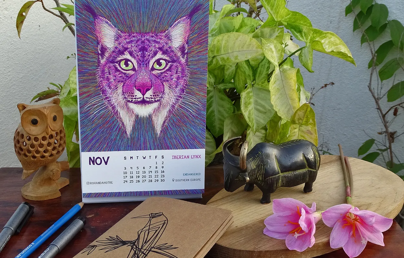 Photo wallpaper table, plant, figurine, calendar, CALENDAR 2019 - LOSING WILDLIFE