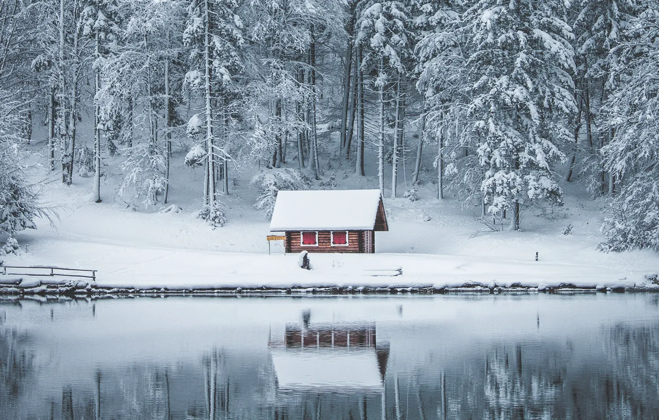 Photo wallpaper winter, forest, snow, lake, house, reflection, in the snow, shore
