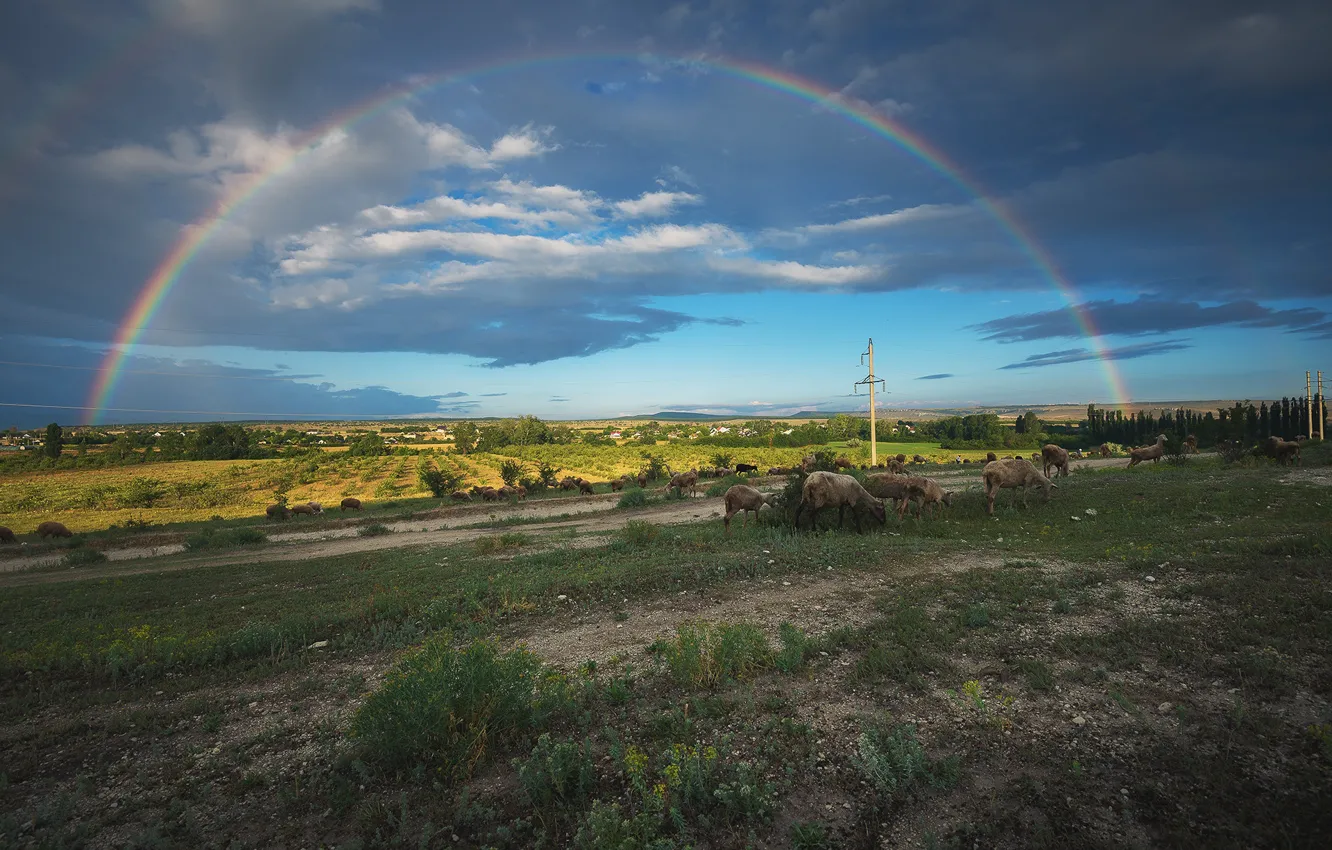 Photo wallpaper greens, the sky, mountains, rainbow, valley