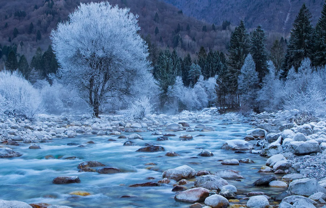 Photo wallpaper forest, river, photography, trees, landscape, nature, water, winter