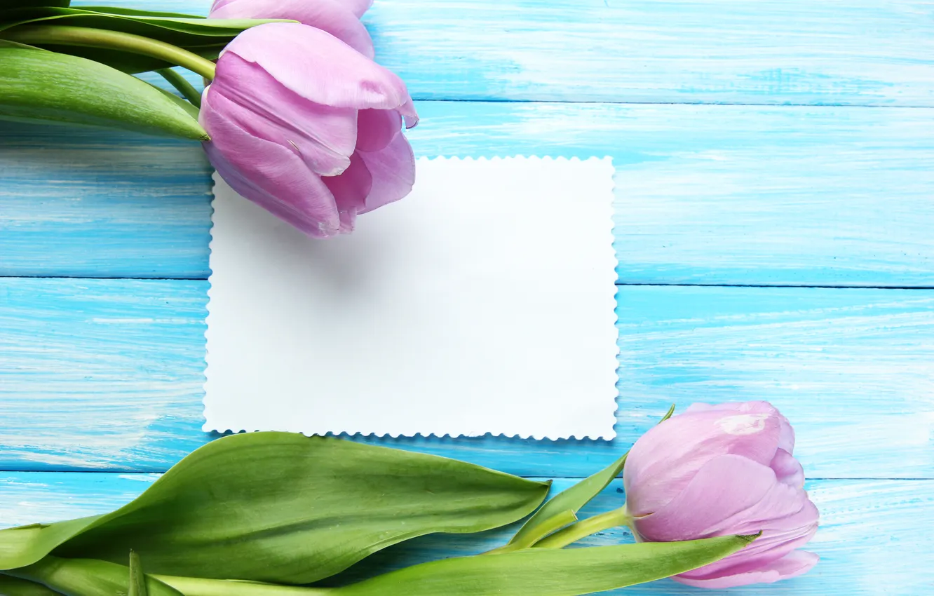 Photo wallpaper flowers, bouquet, tulips, wood, pink, flowers, tulips, postcard
