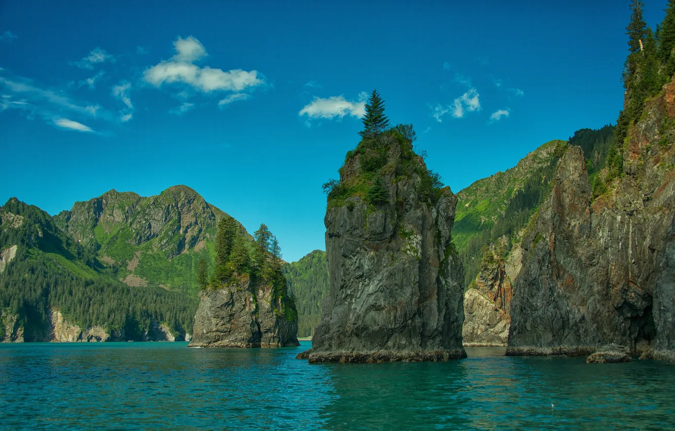 Photo wallpaper trees, mountains, rock, lake