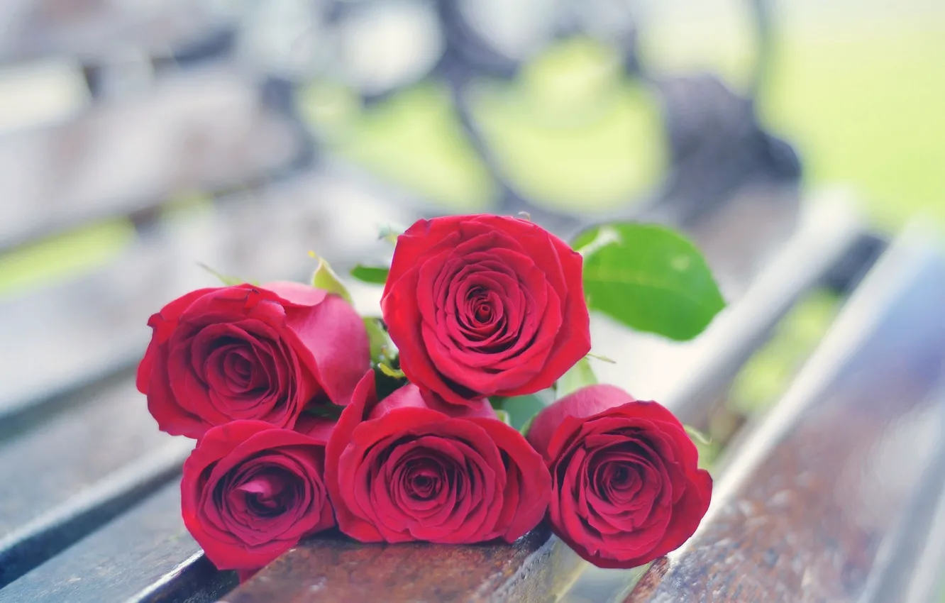 Photo wallpaper flowers, red, background, widescreen, Wallpaper, roses, wallpaper, rose