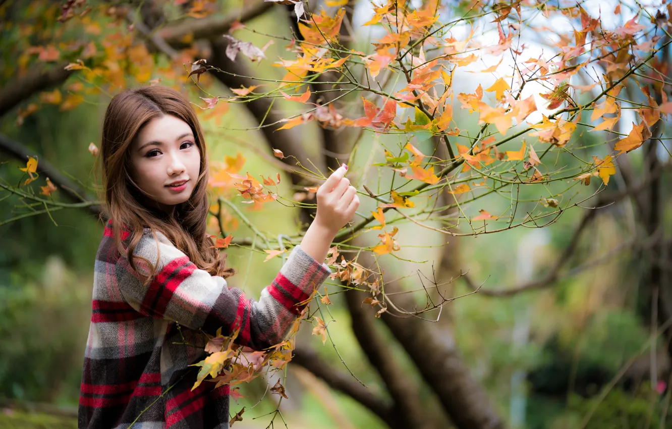 Photo wallpaper girl, branches, Asian, cutie, bokeh