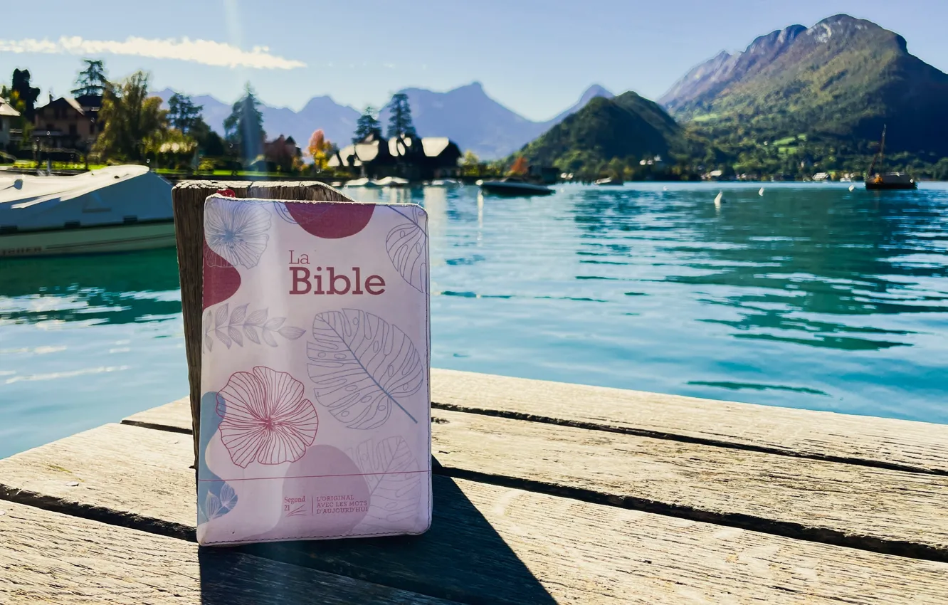 Photo wallpaper summer, love, sunshine, sea, wood, water, mountain, tree