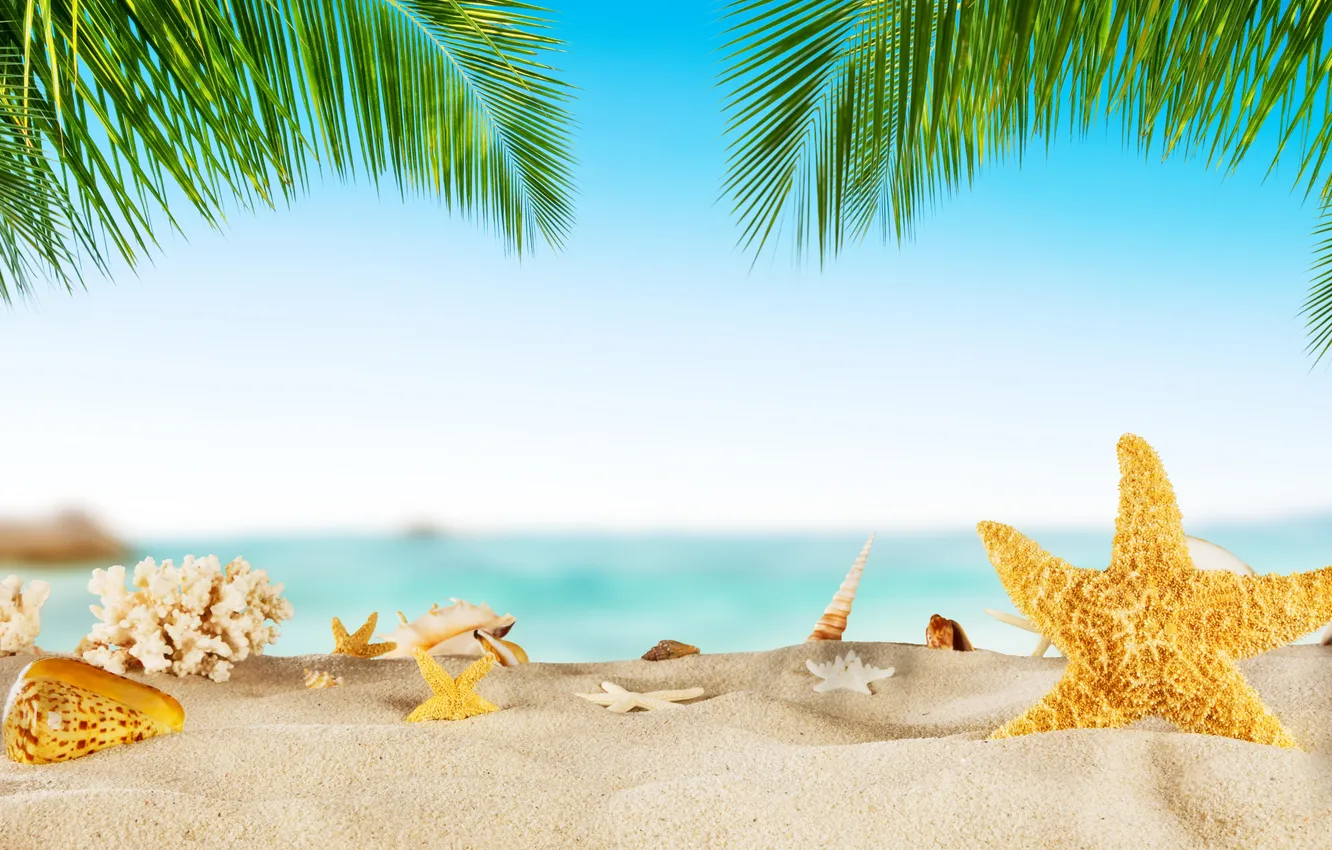 Photo wallpaper sand, sea, wave, beach, summer, the sky, stars, palm trees