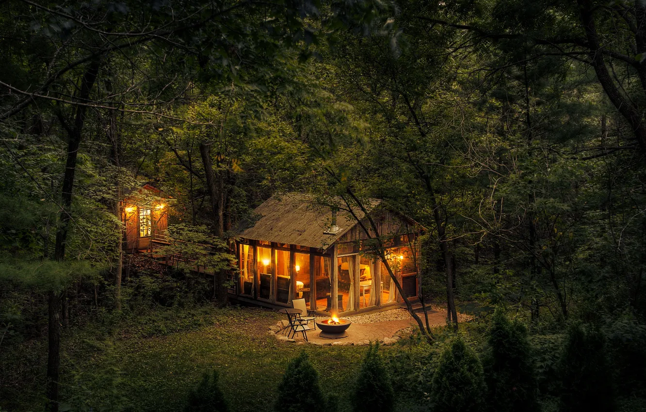Photo wallpaper forest, grass, trees, night, nature, plant, home, hut