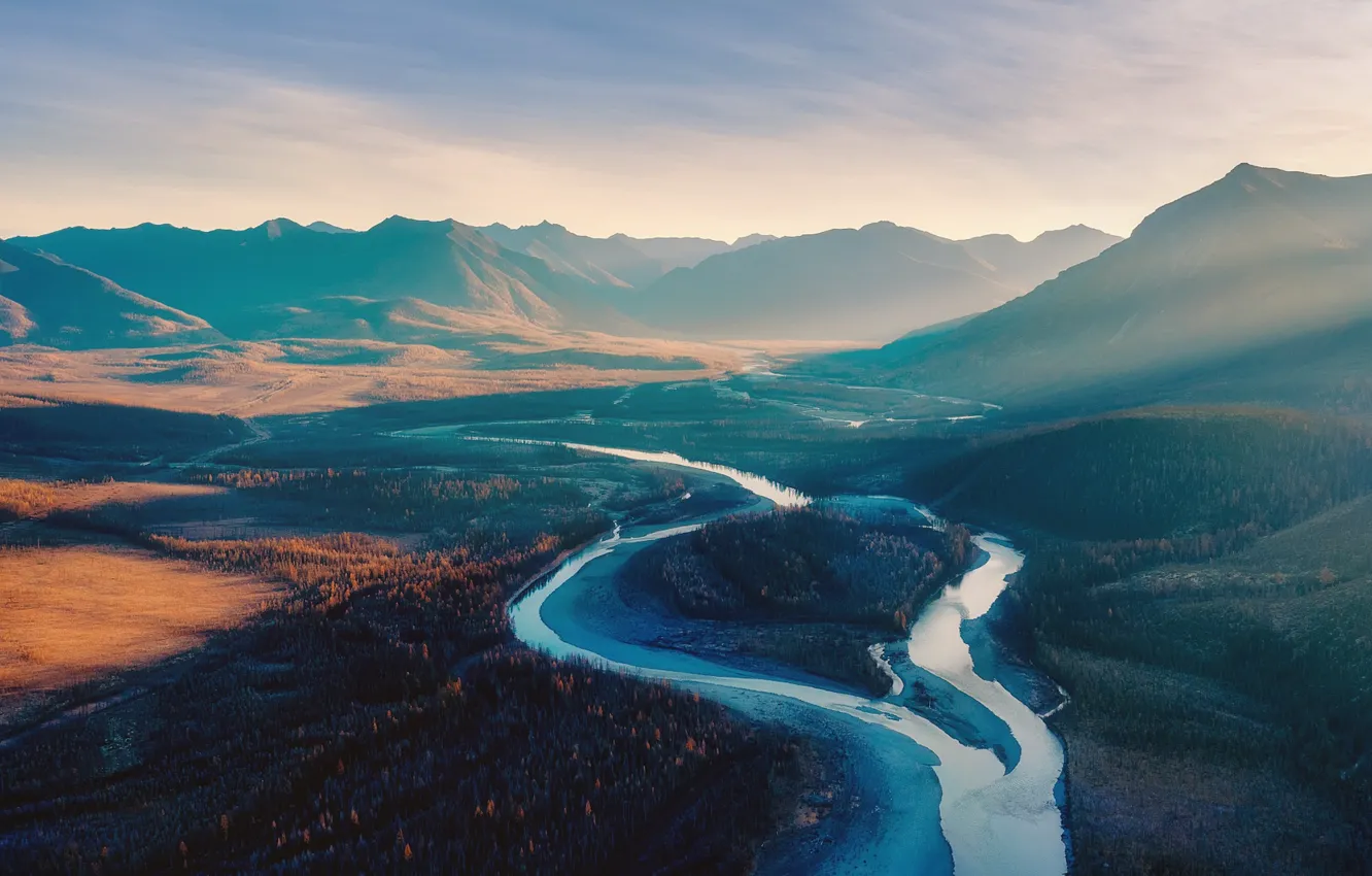 Photo wallpaper forest, mountains, fog, river, shore, morning, the