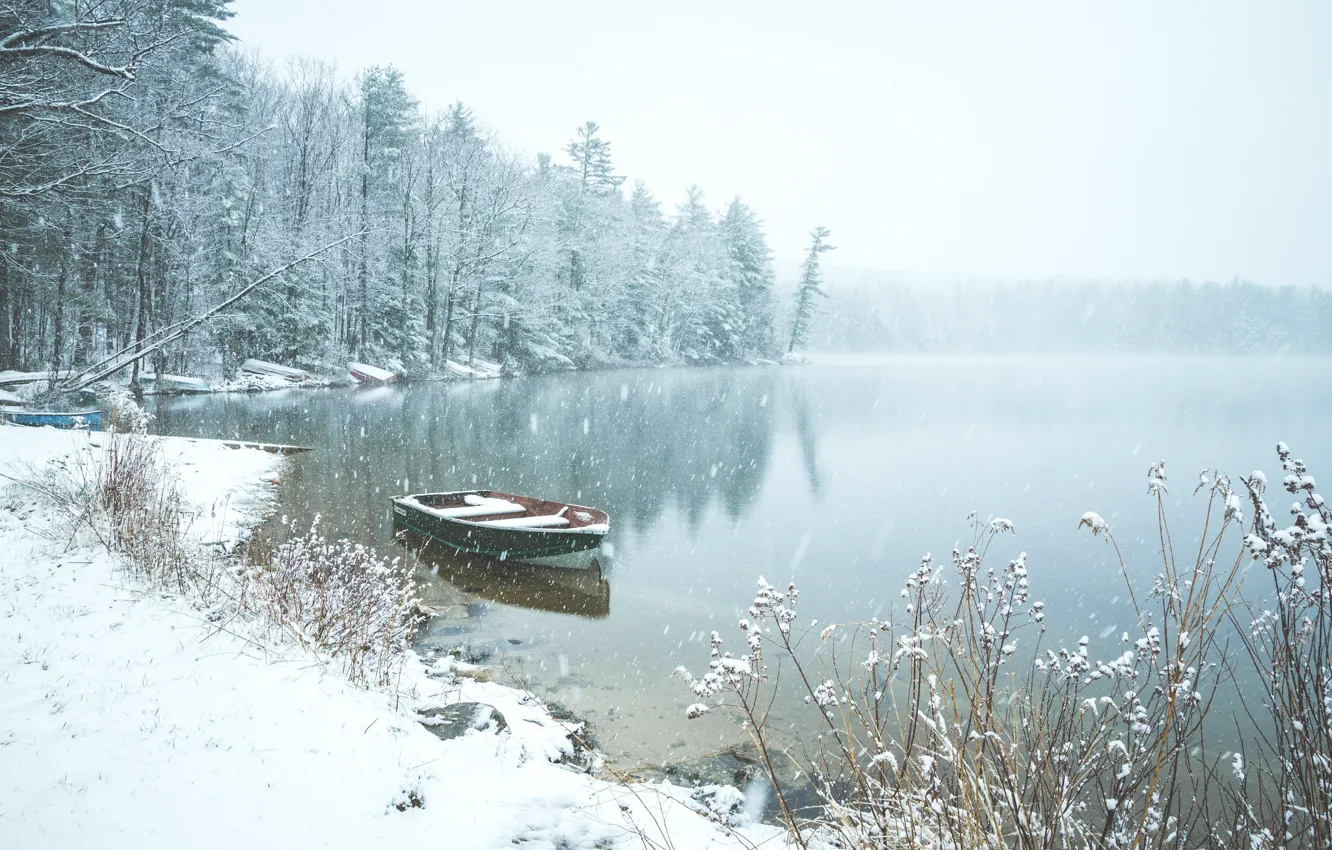 Photo wallpaper winter, forest, snow, lake, pond, boat, England, England