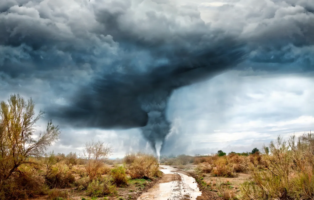 Photo wallpaper road, grass, clouds, hurricane, the bushes