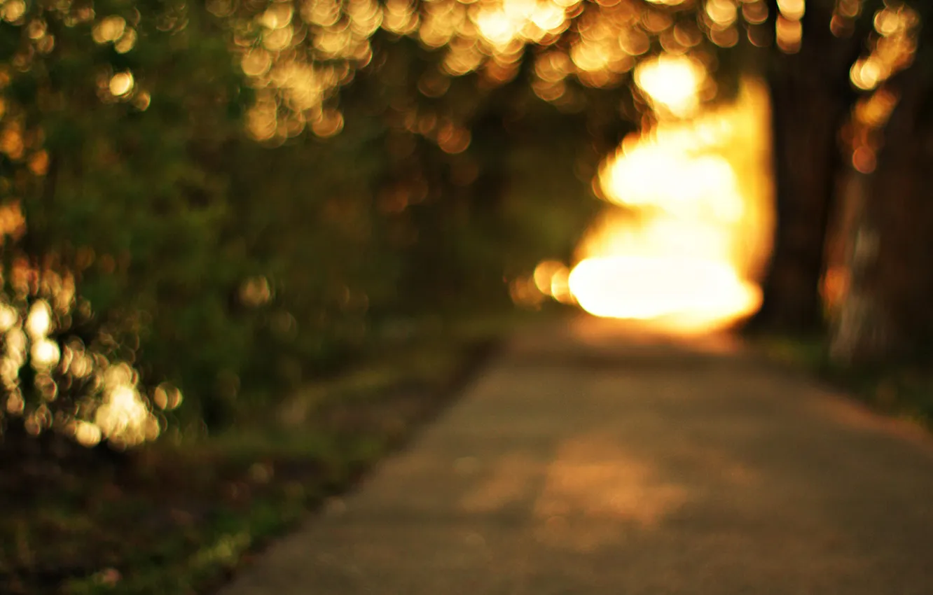 Photo wallpaper road, greens, the sun, trees, nature, the evening, path, bokeh