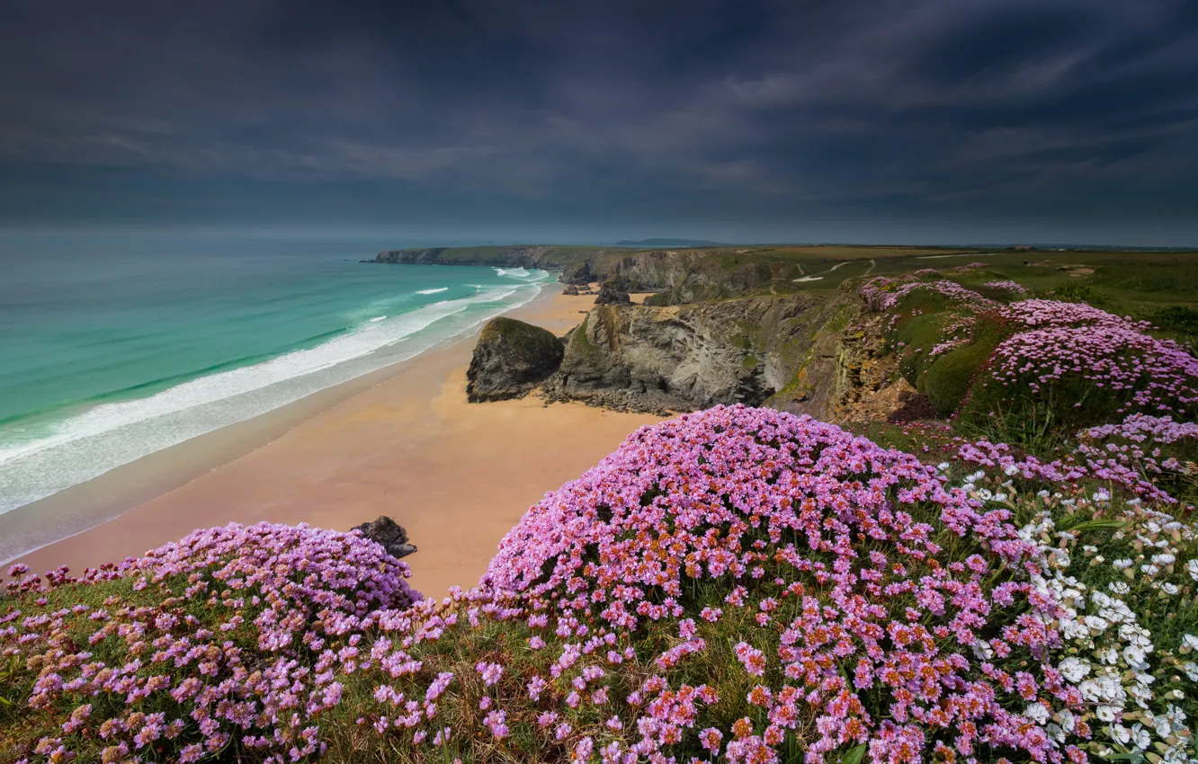 Photo wallpaper sea, flowers, rocks, coast, England, England, Cornwall, Cornwall