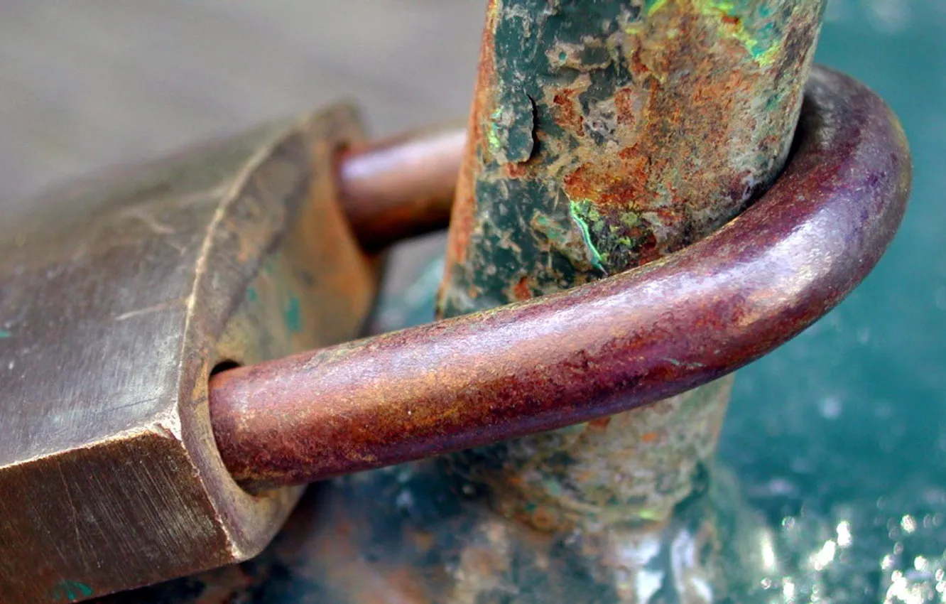 Photo wallpaper microsemi, loyalty, castle