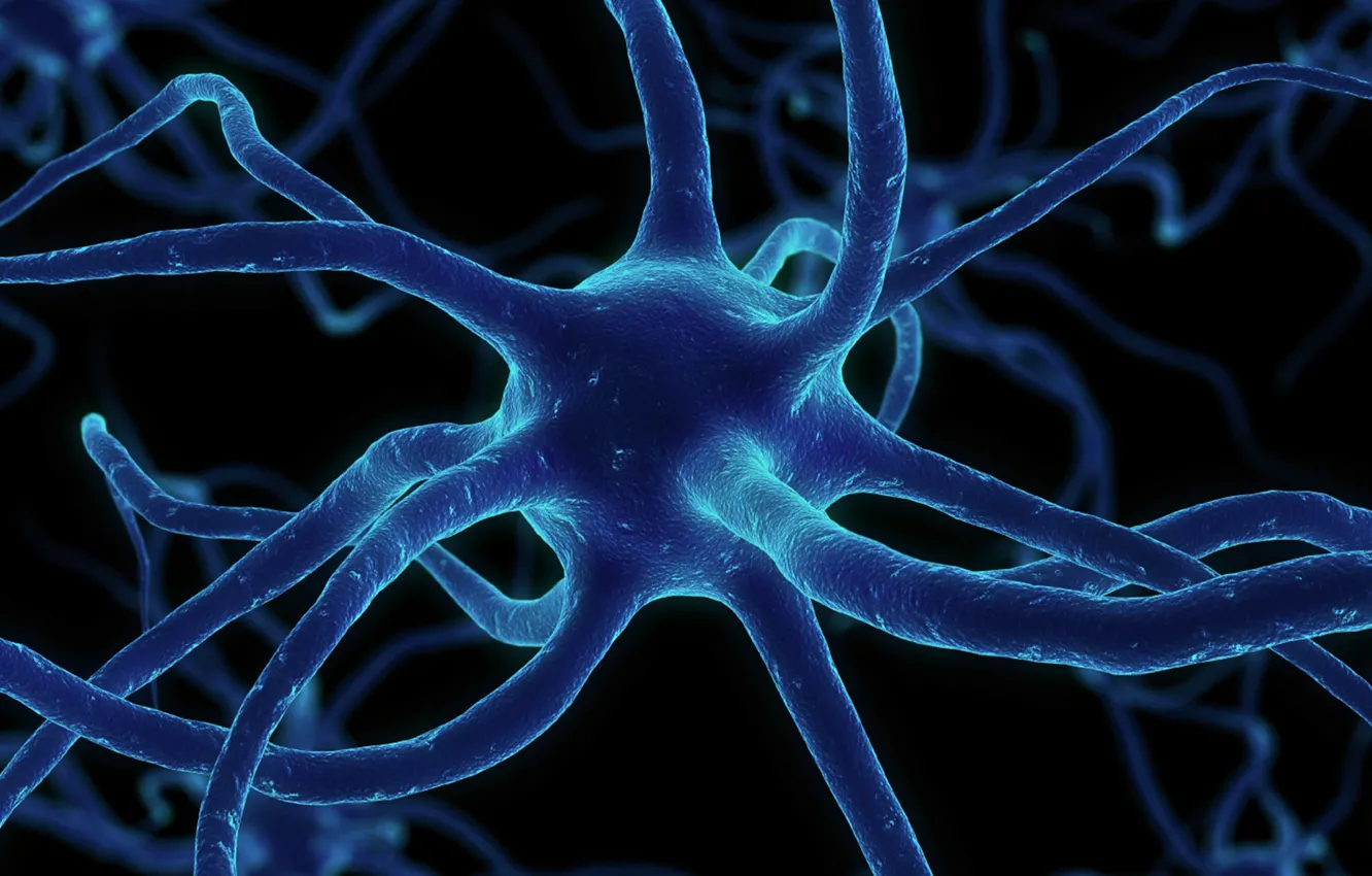 Photo wallpaper network, synapses, neuron