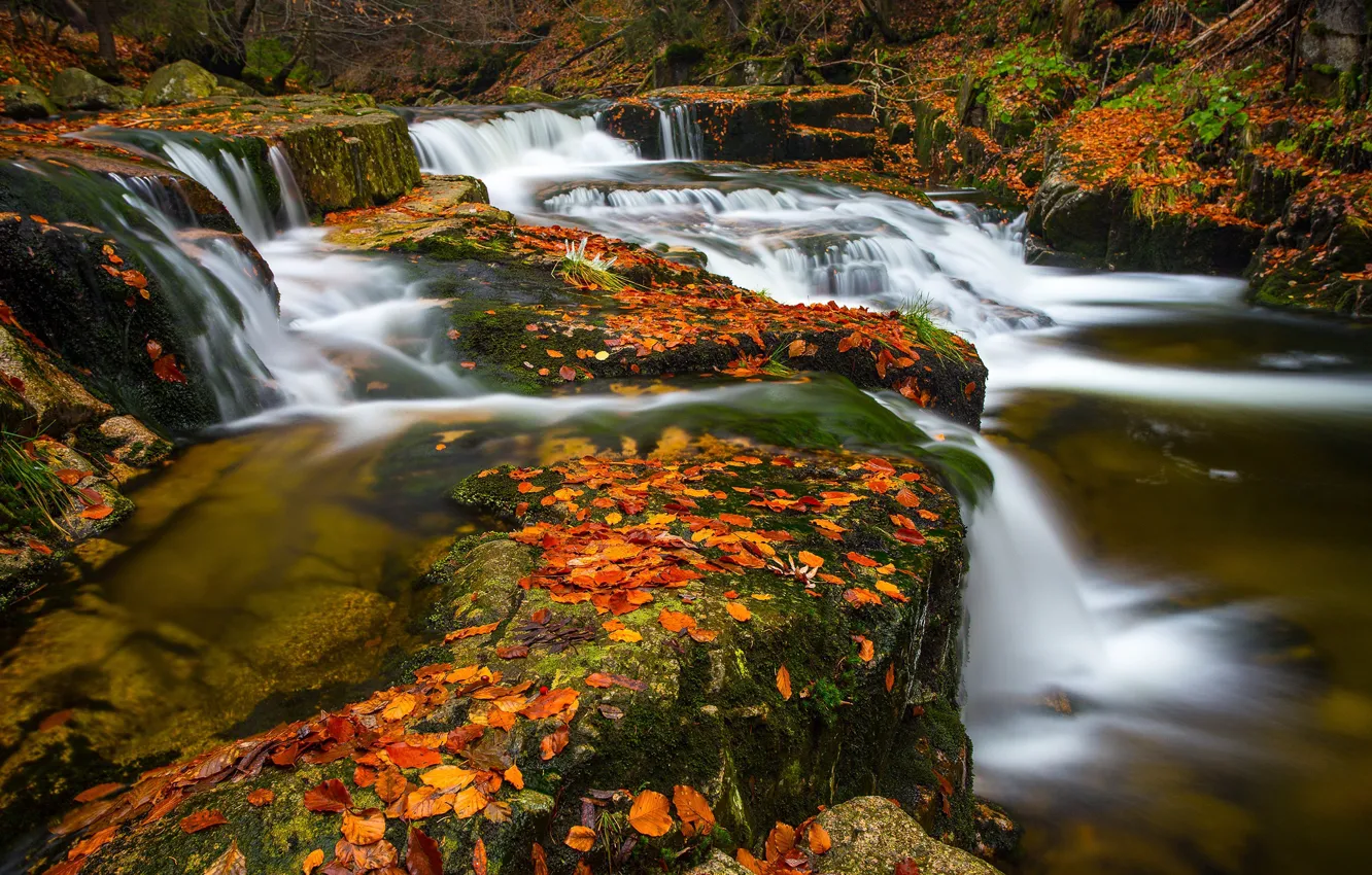Photo wallpaper autumn, leaves, river, cascade