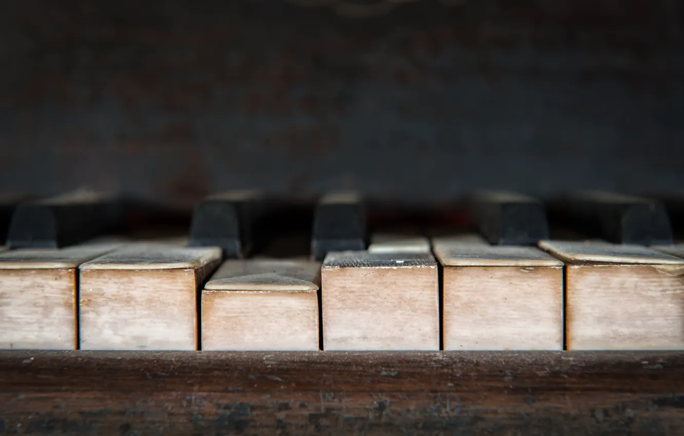 Photo wallpaper macro, music, piano