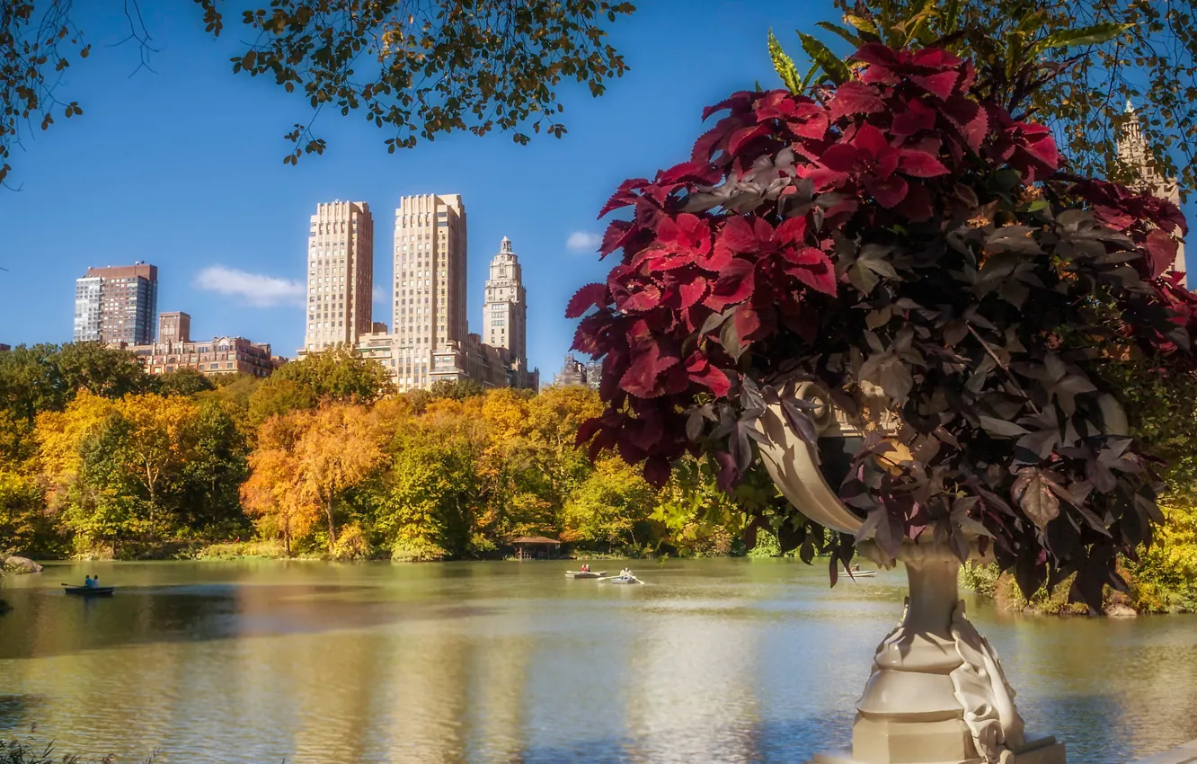 Photo wallpaper autumn, the sun, trees, branches, pond, Park, boat, home