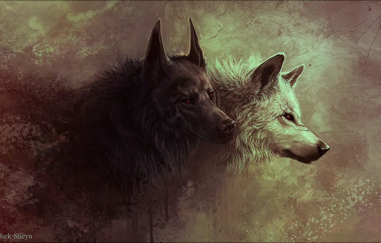 Photo wallpaper predators, mouth, fangs, wolves, mater, shere