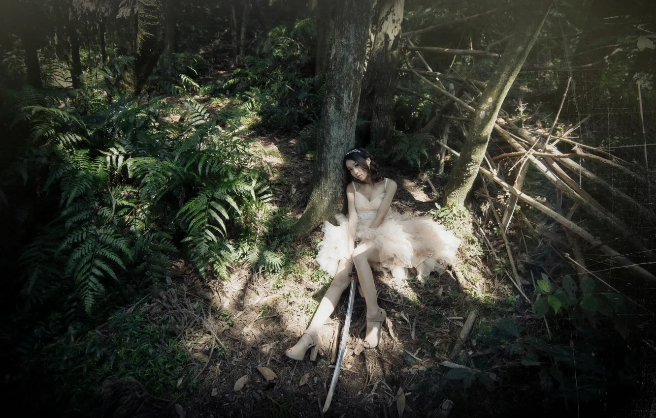 Photo wallpaper forest, look, girl, trees, sword